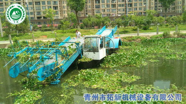 銷(xiāo)往浙江全自動(dòng)割草船